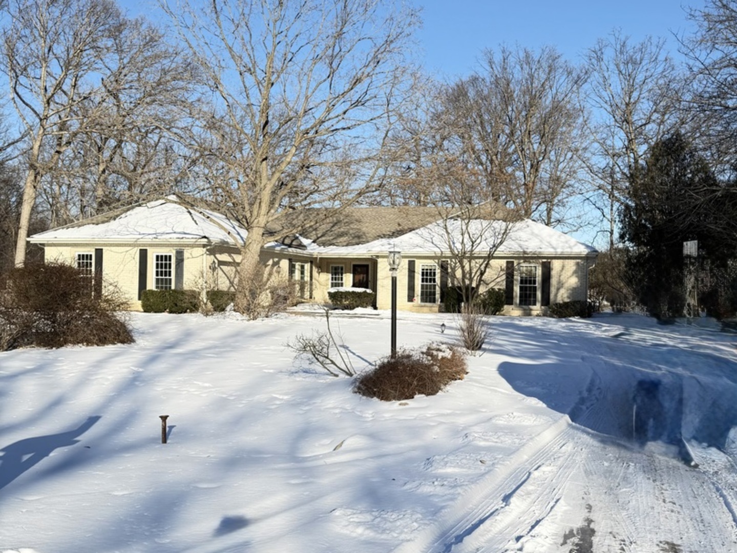 145 Pine Tree Lane