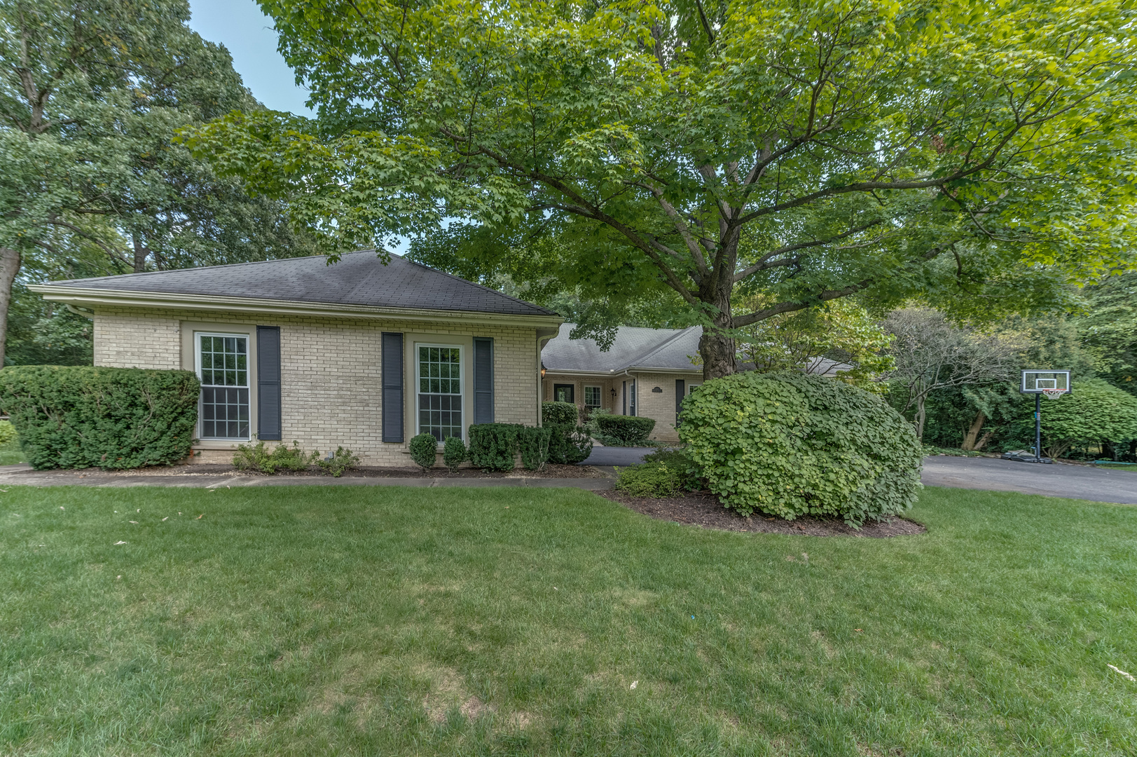 145 Pine Tree Lane