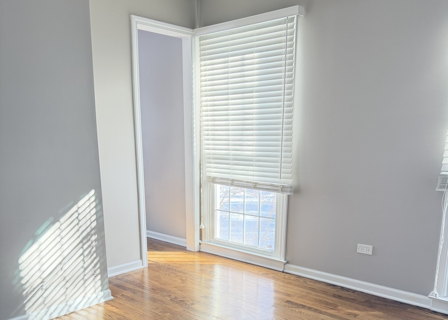 145 Pine Tree Lane