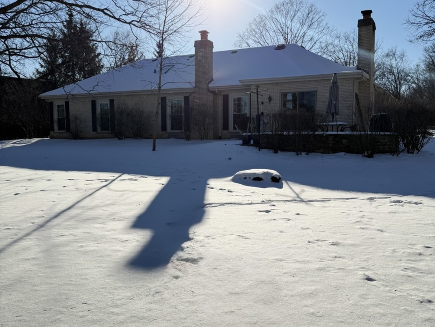 145 Pine Tree Lane