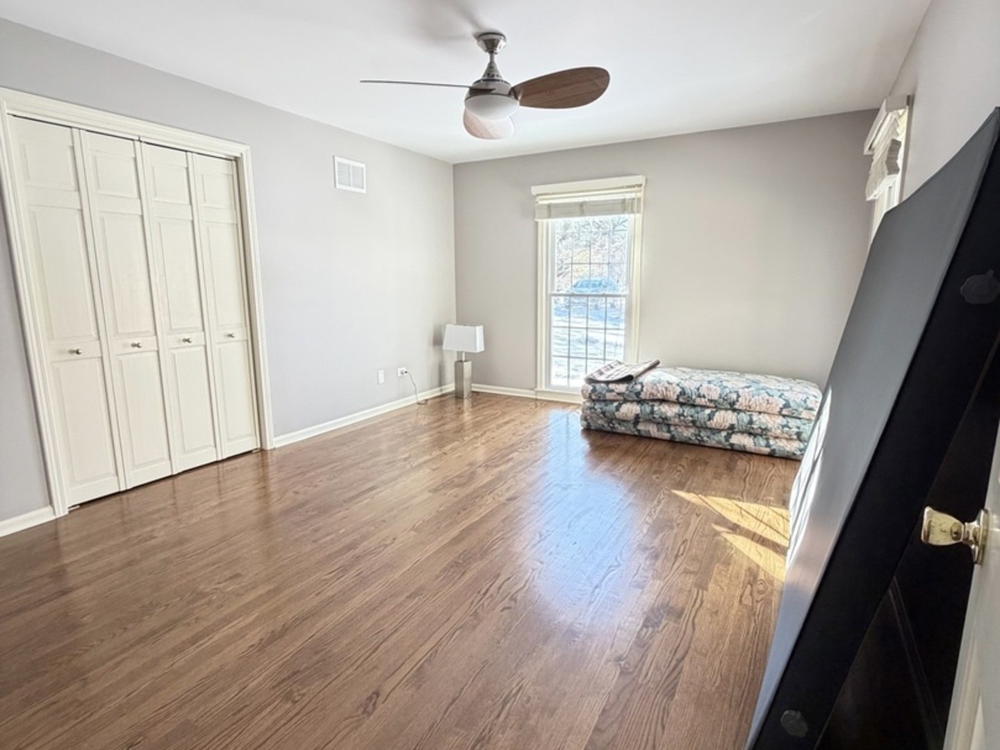 145 Pine Tree Lane
