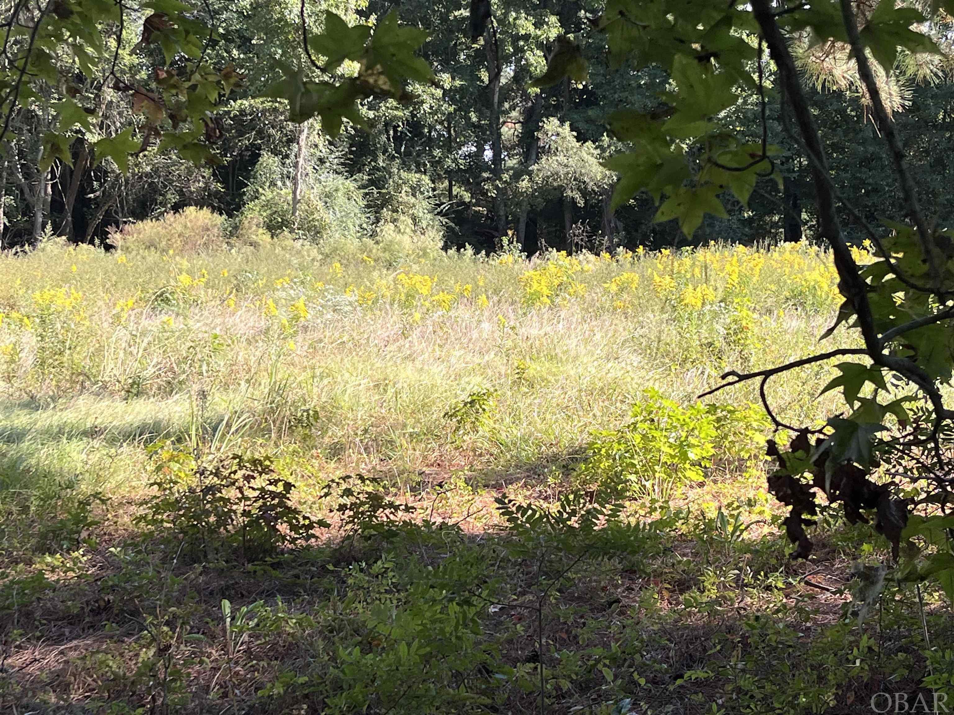 #5 Newberns Landing Road Lot 5