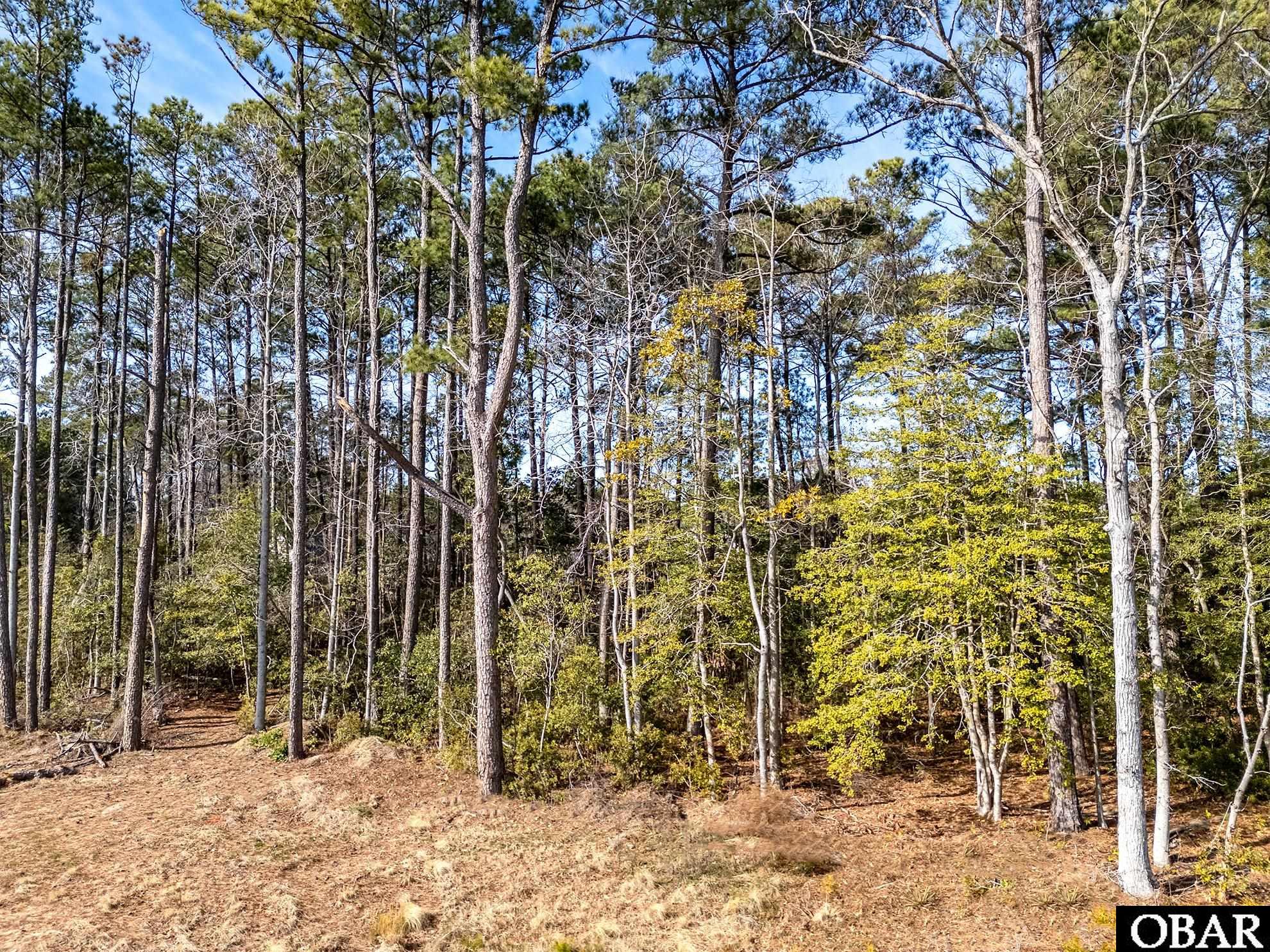 0 Shady Pines Lane Lot 31