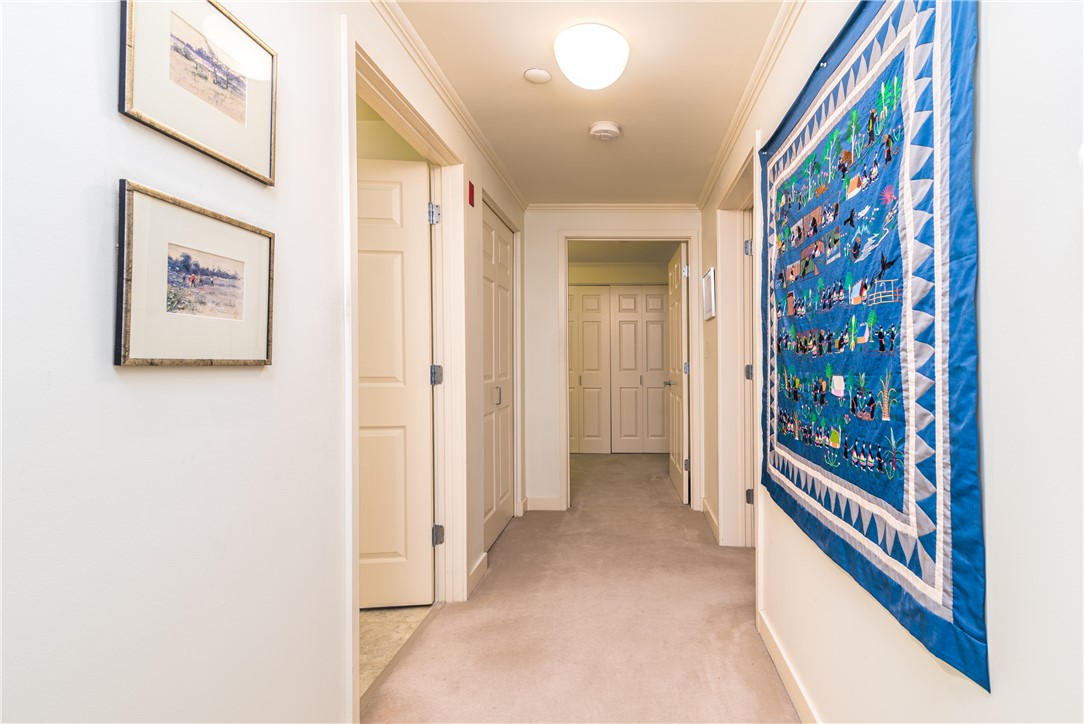 229 Medway Street 203
