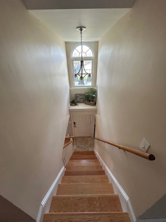 112 Indian Run Trail