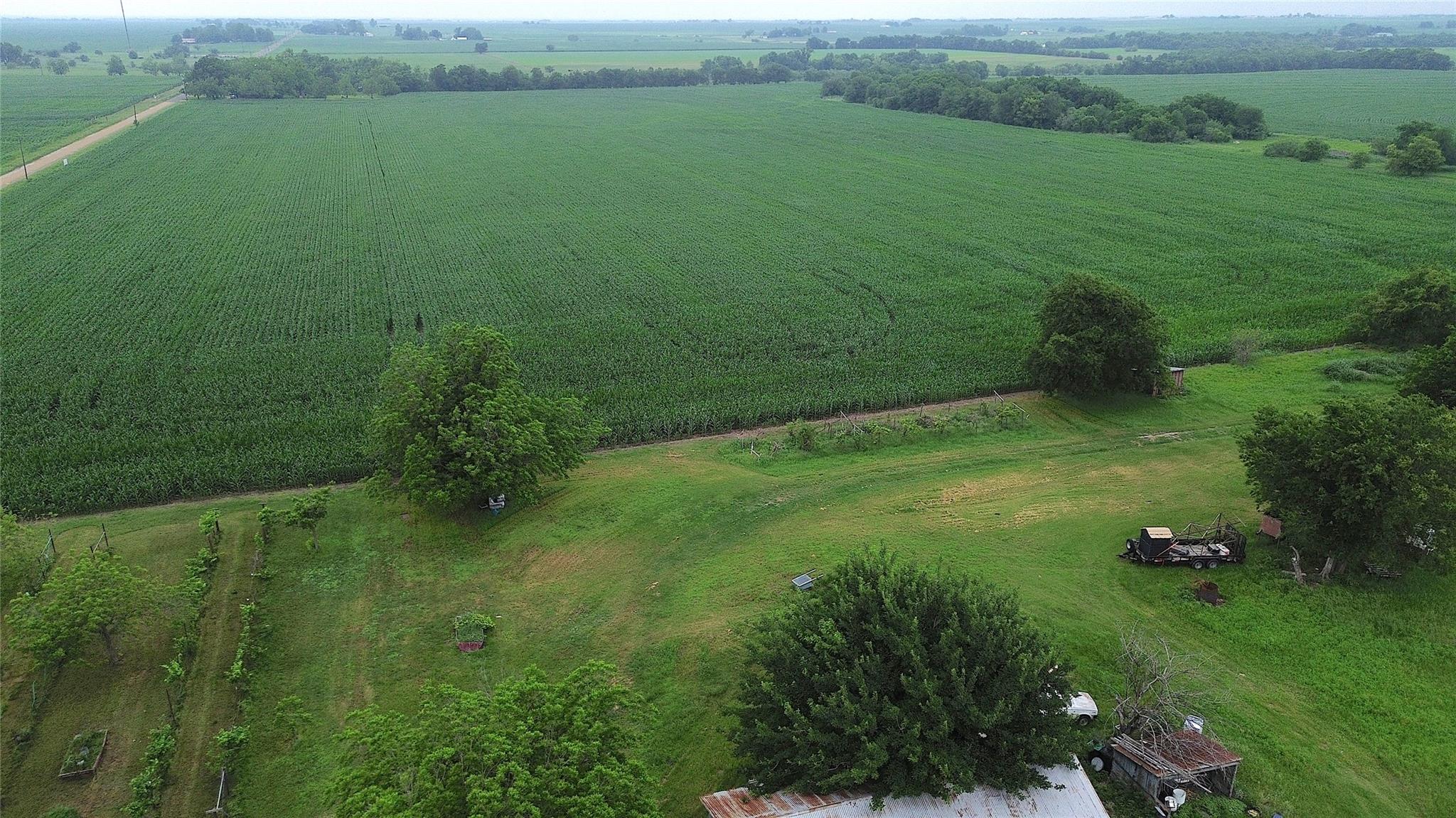 3501 County Road 409