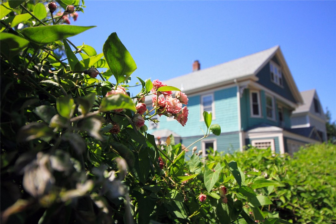 53 Carroll Avenue
