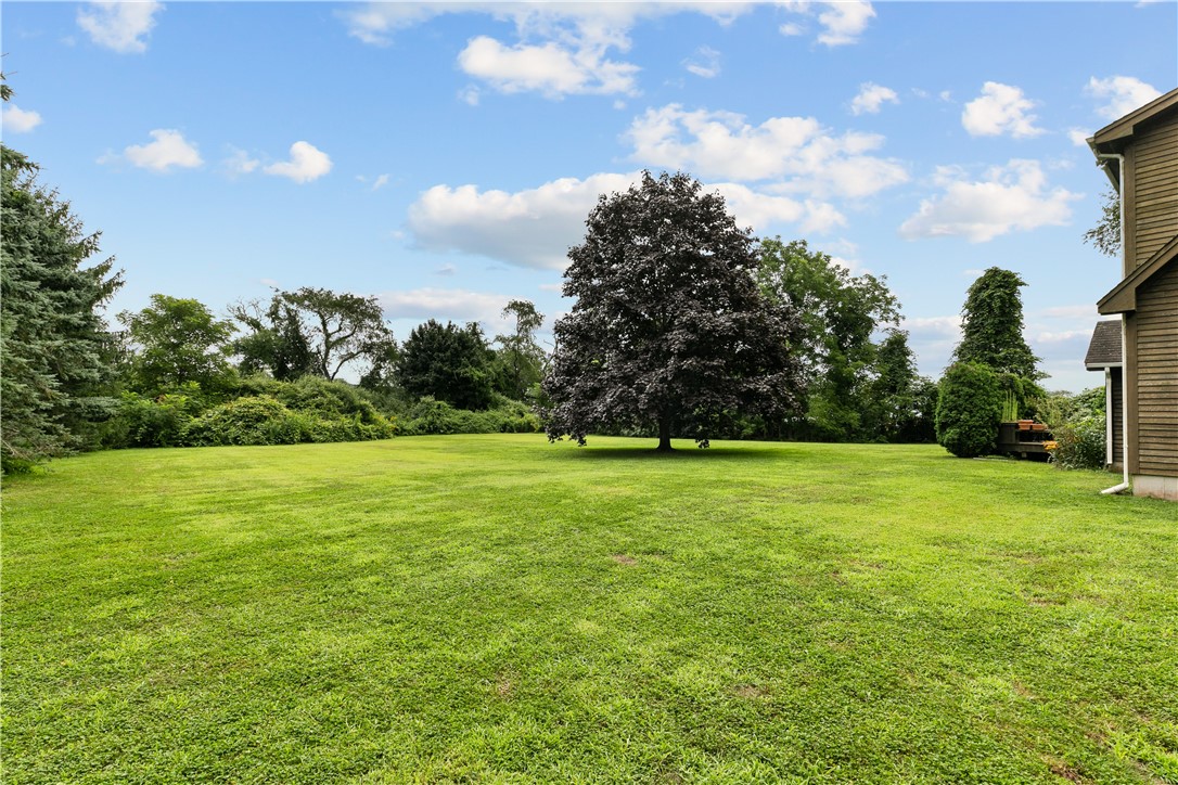3552 Main Road