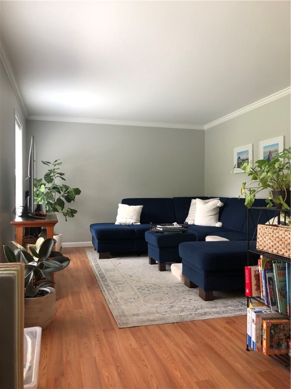 135 Spring Hill Road