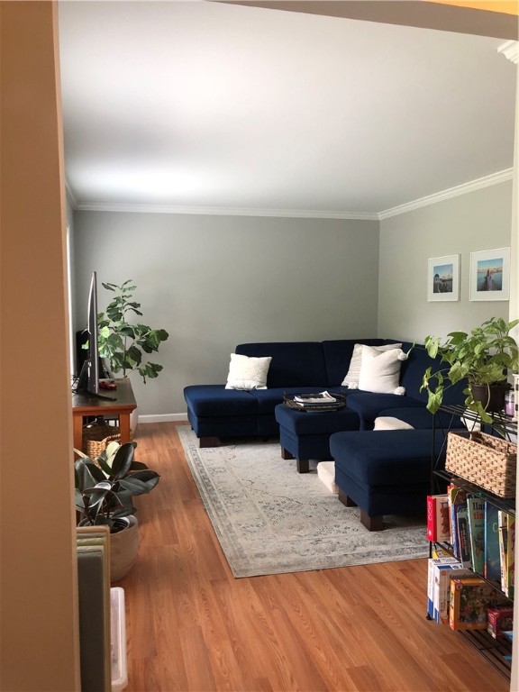 135 Spring Hill Road