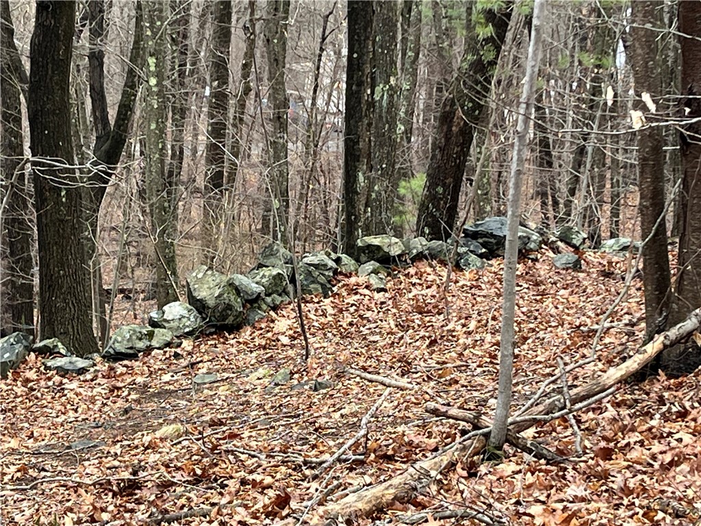 30 Park View Trail