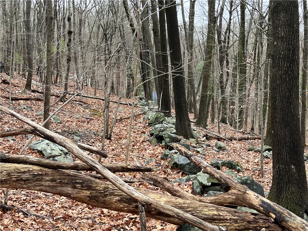 30 Park View Trail