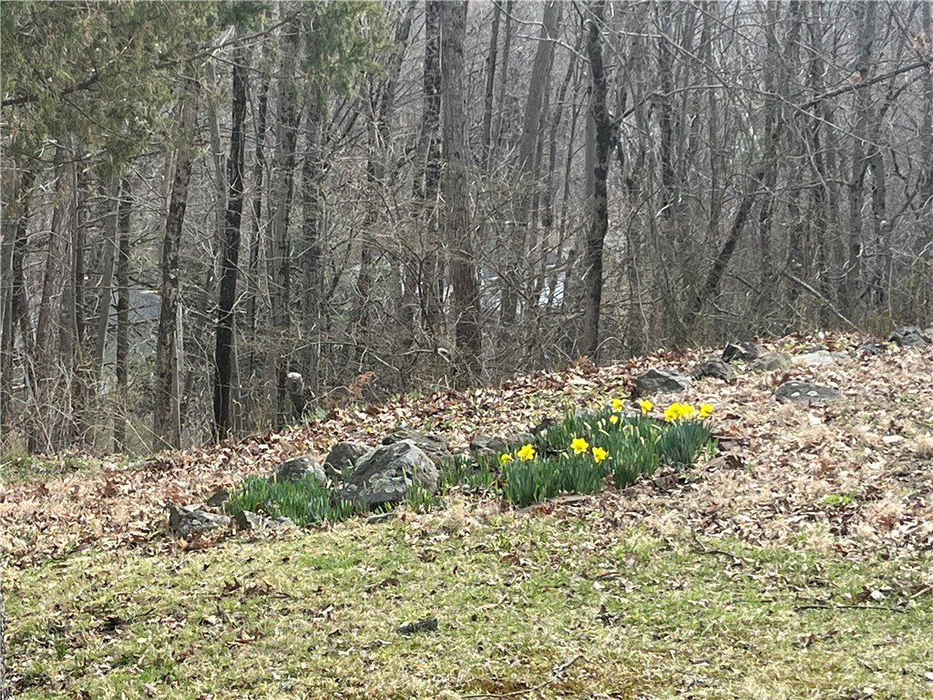 30 Park View Trail