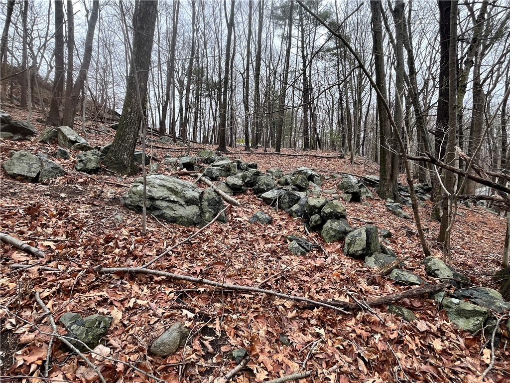 30 Park View Trail
