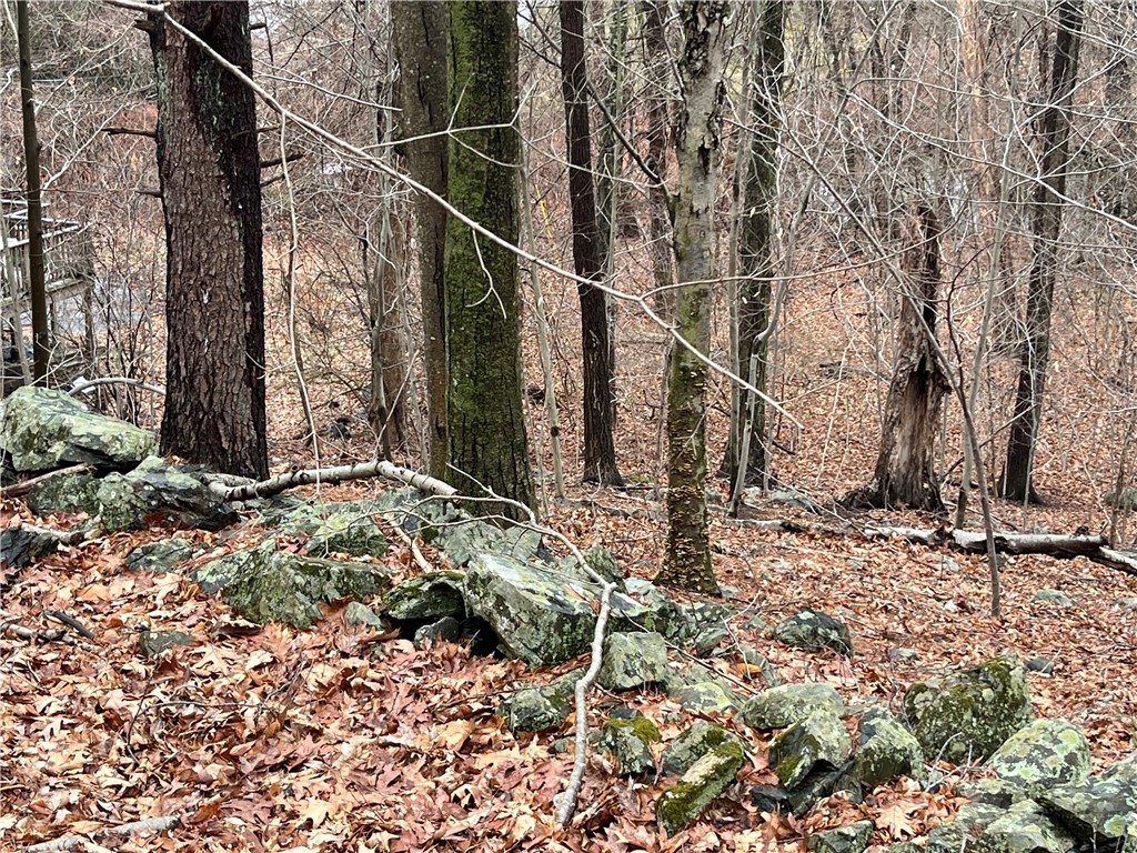 30 Park View Trail