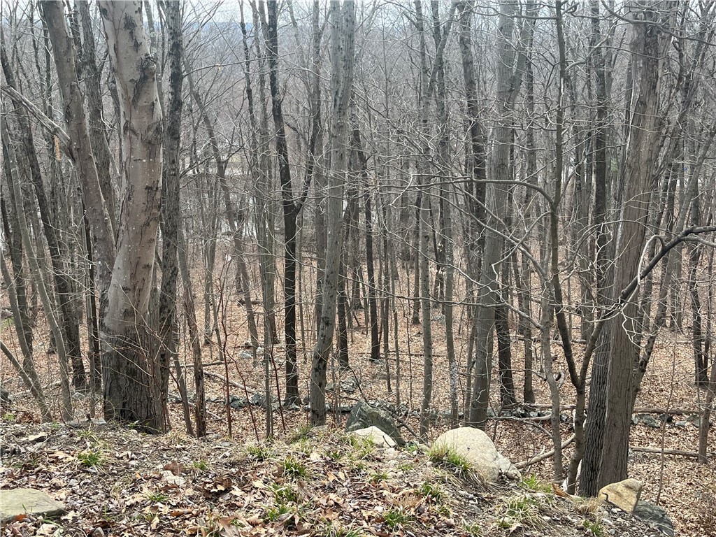 30 Park View Trail