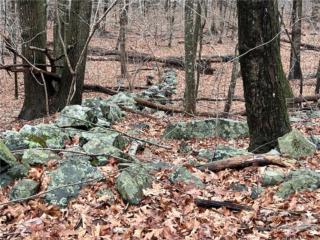 30 Park View Trail
