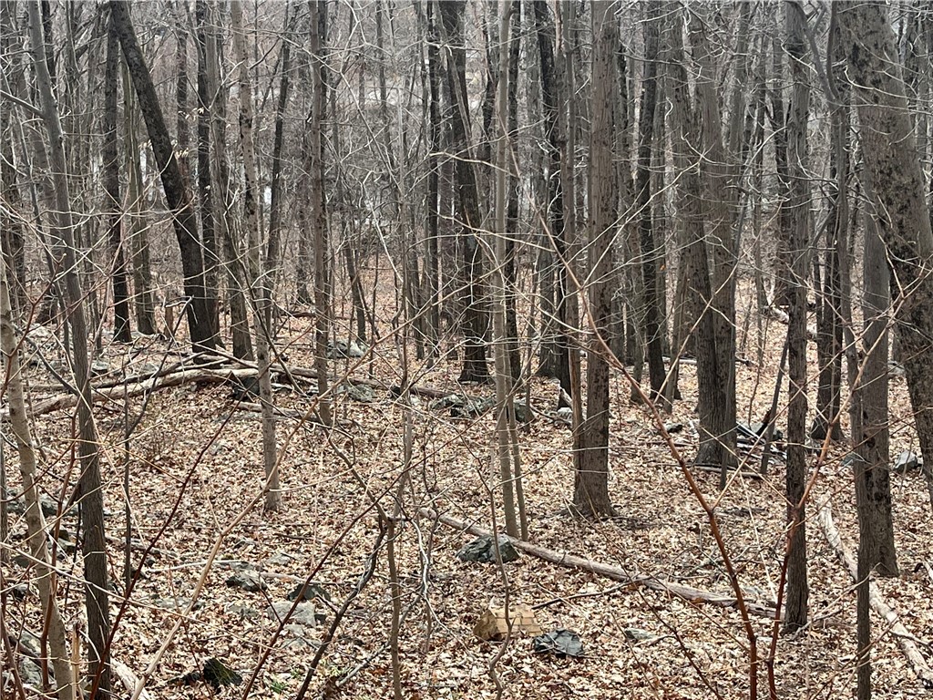 30 Park View Trail