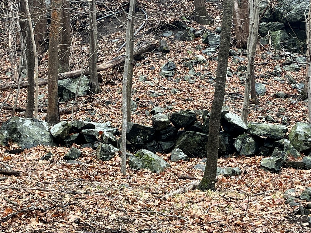 30 Park View Trail