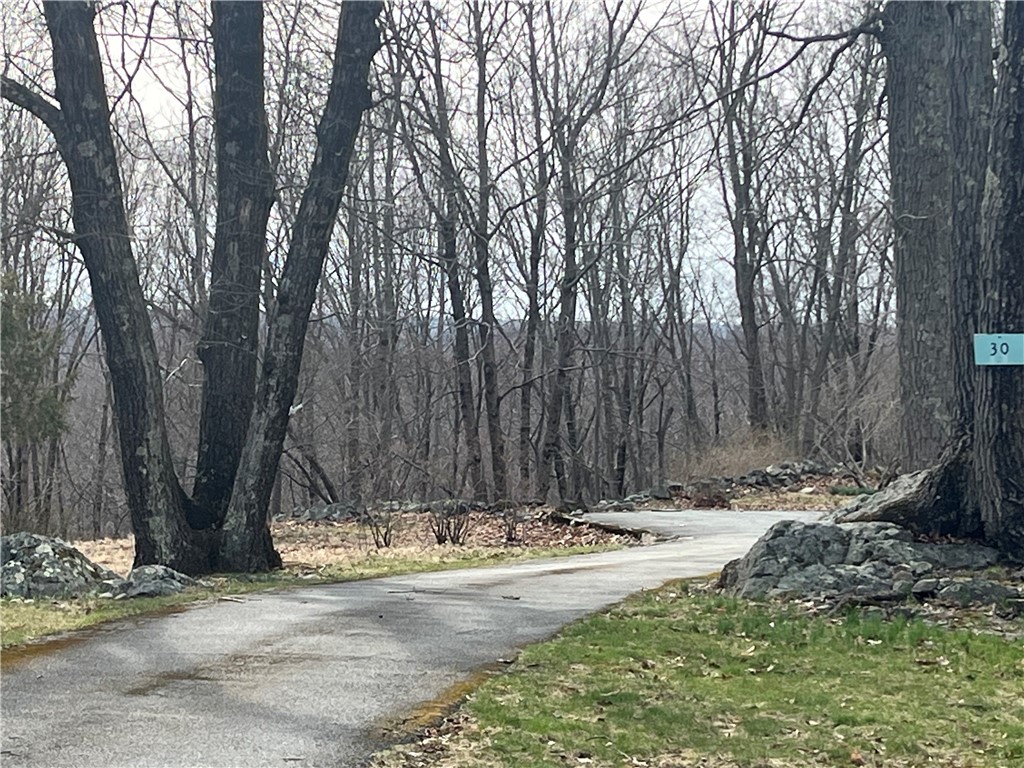 30 Park View Trail