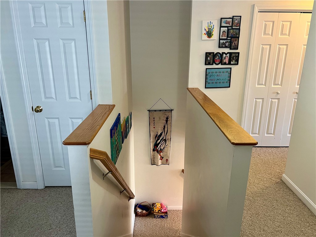 18 Lisi Lane