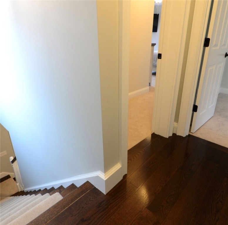 13 Arnold Avenue 1