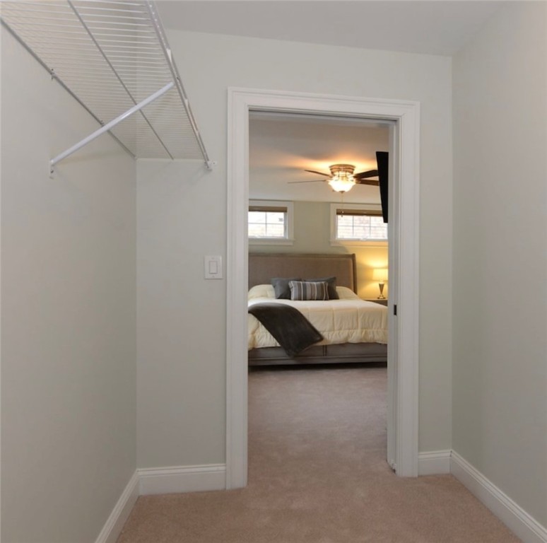 13 Arnold Avenue 1