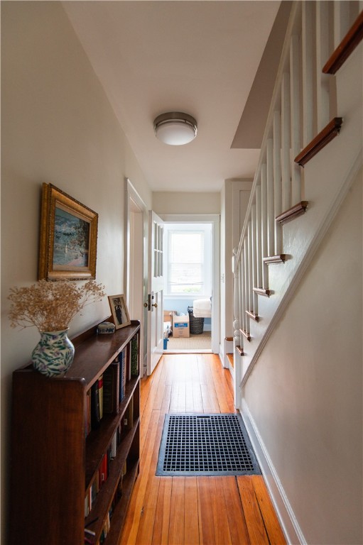 8 Palmer Street