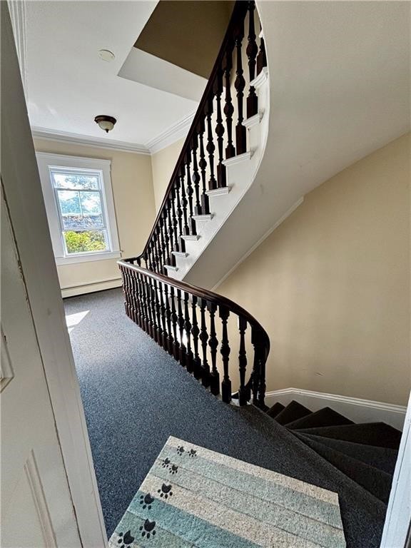51 Annandale Road 2
