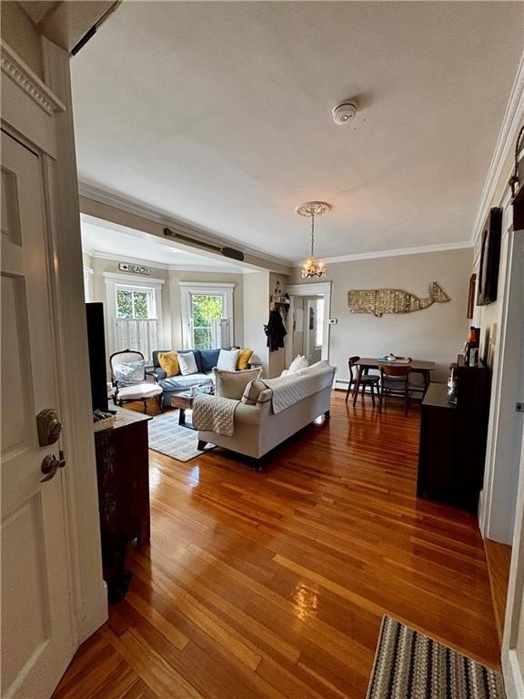 51 Annandale Road 2