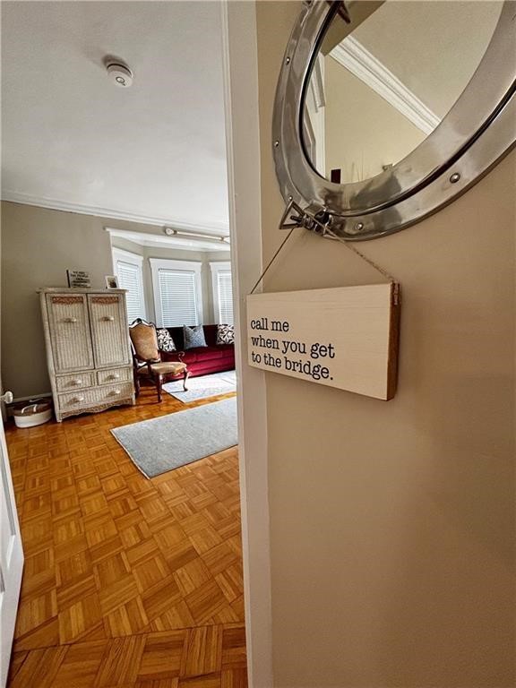 51 Annandale Road 2