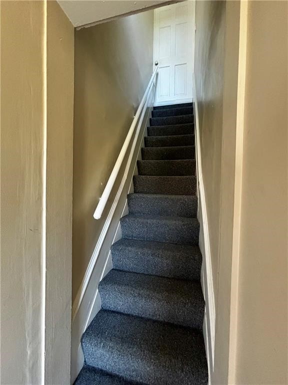51 Annandale Road 2