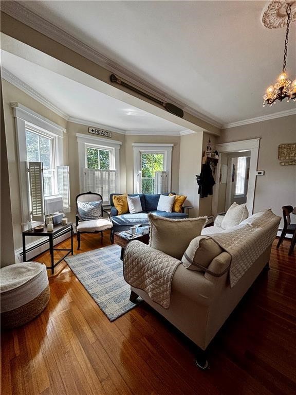 51 Annandale Road 2