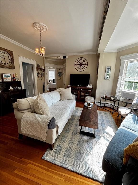 51 Annandale Road 2