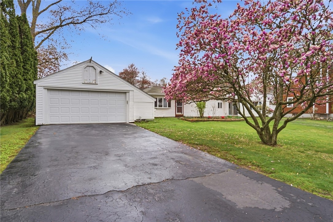 11 Cedar Drive