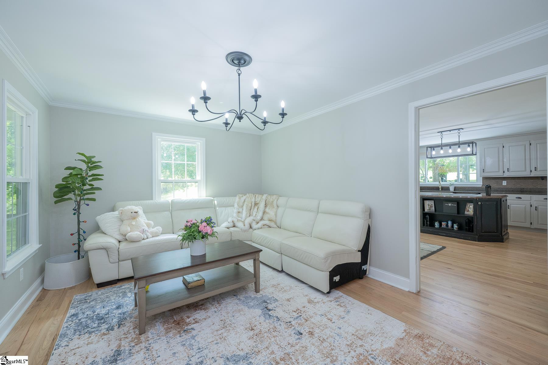 251 Williams Road