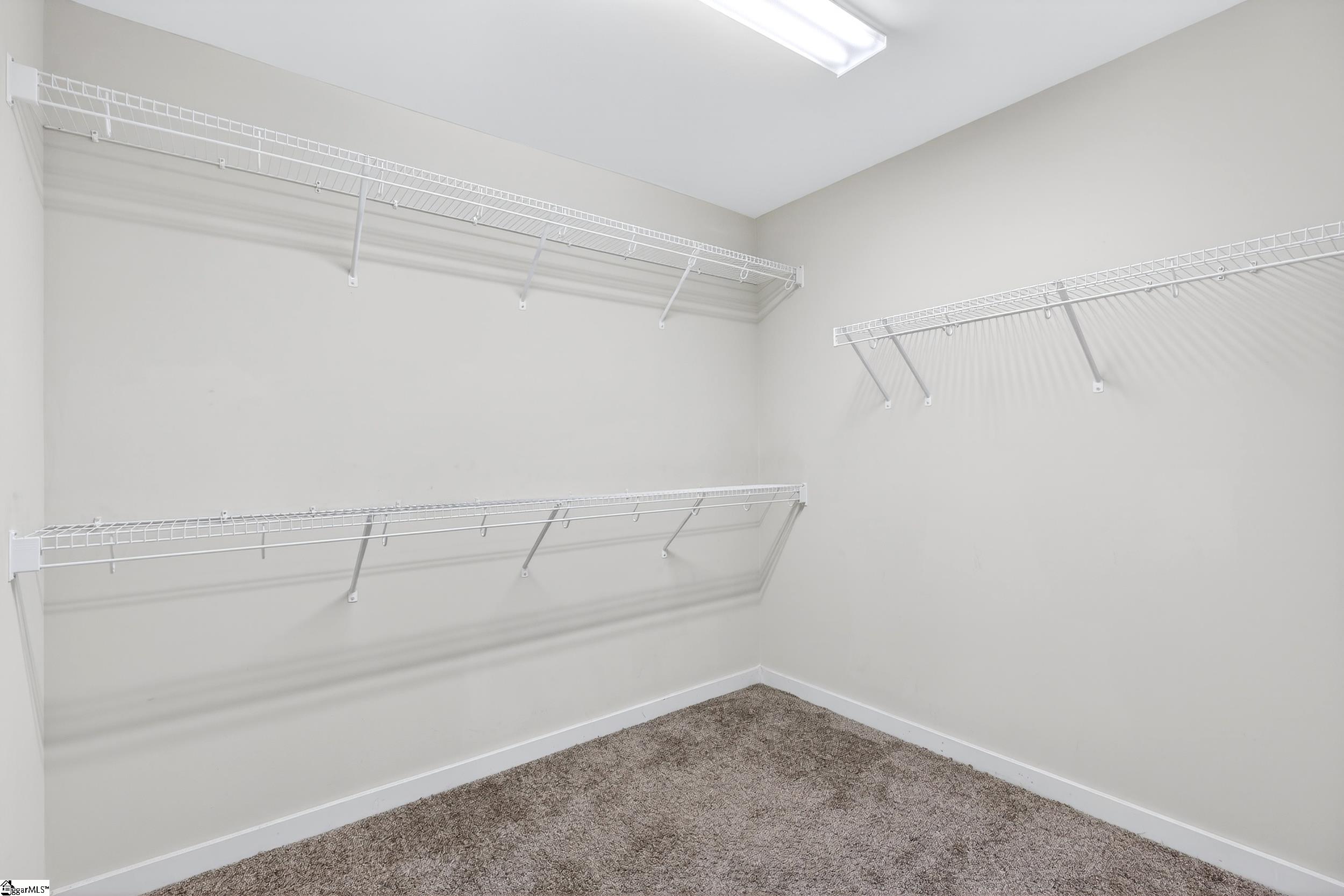 217 Button Willow Street