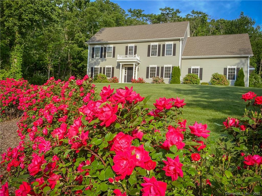 31 Letis Court