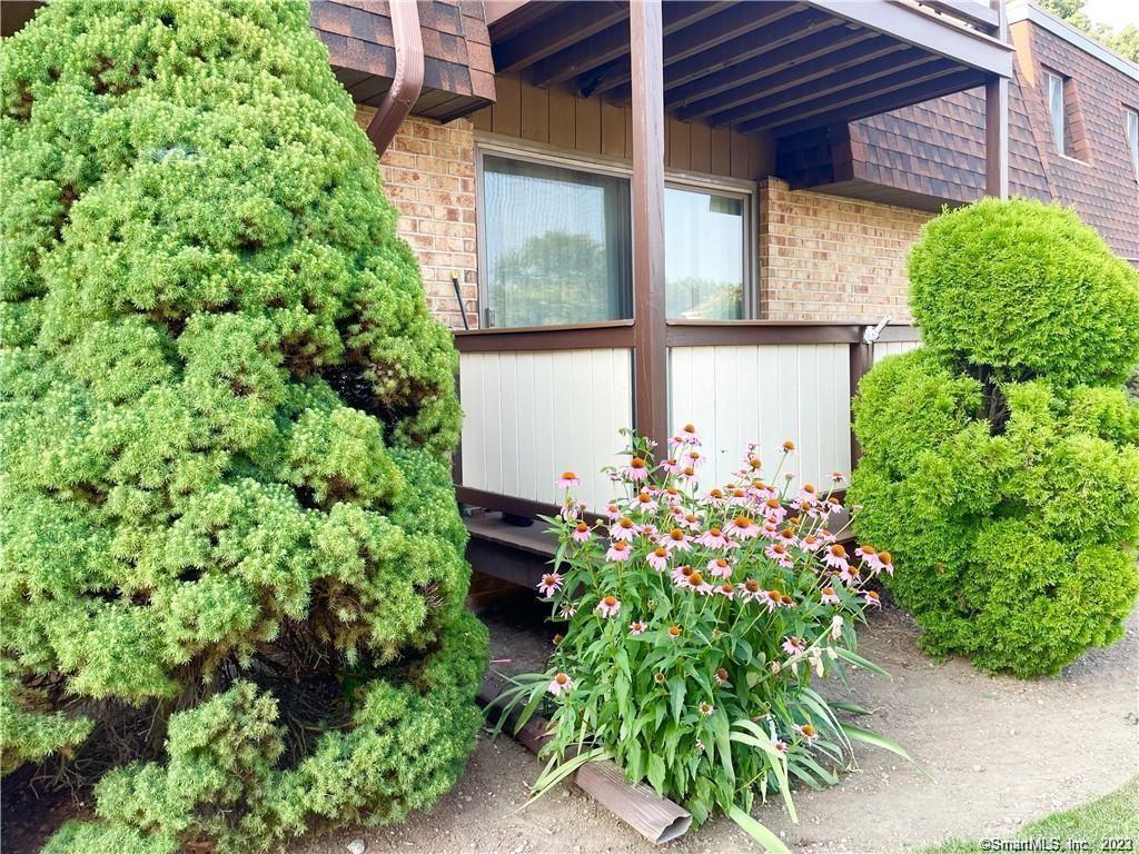 20 Maple Tree Avenue H