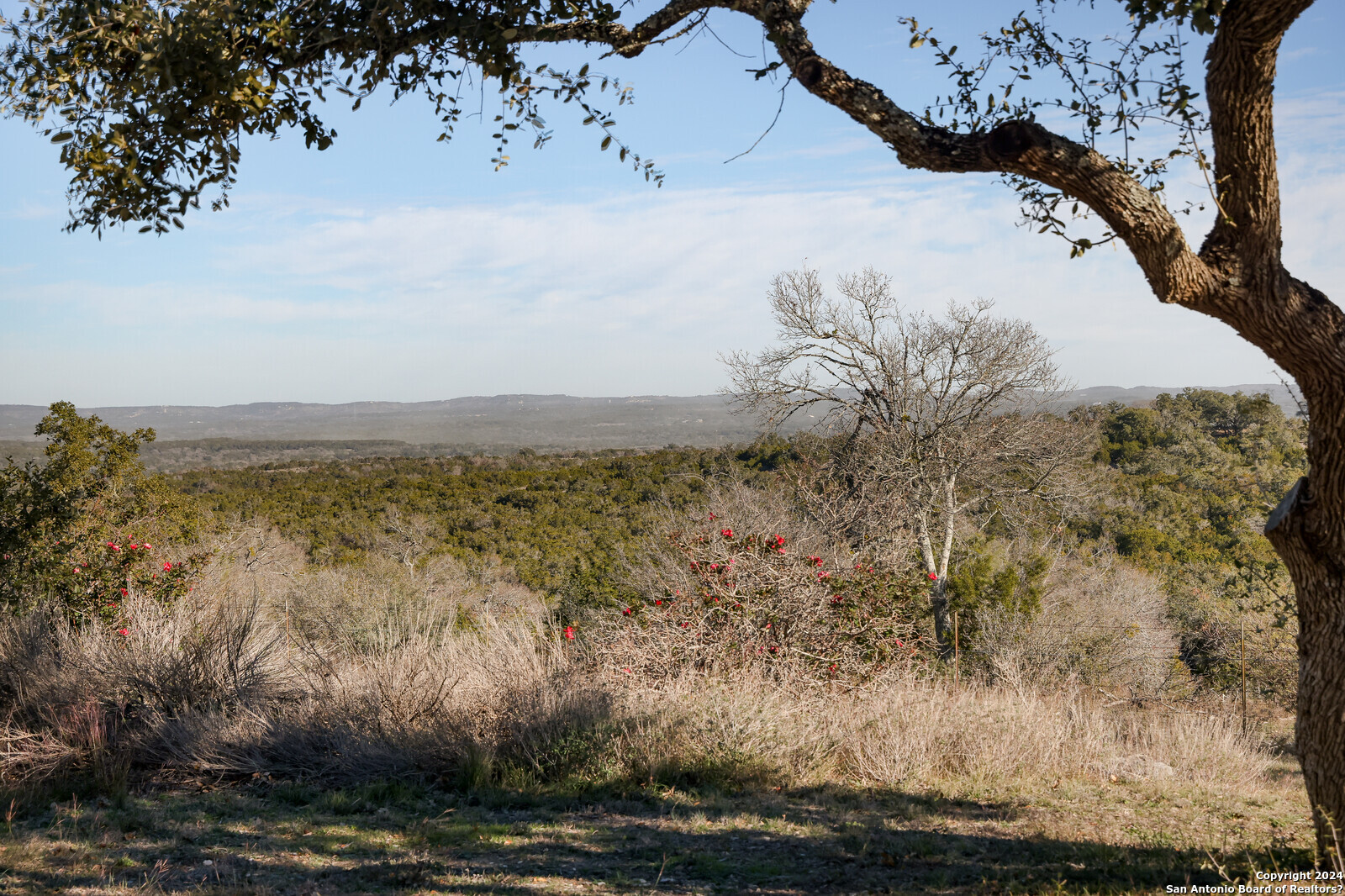 1141 Currie Ranch Rd
