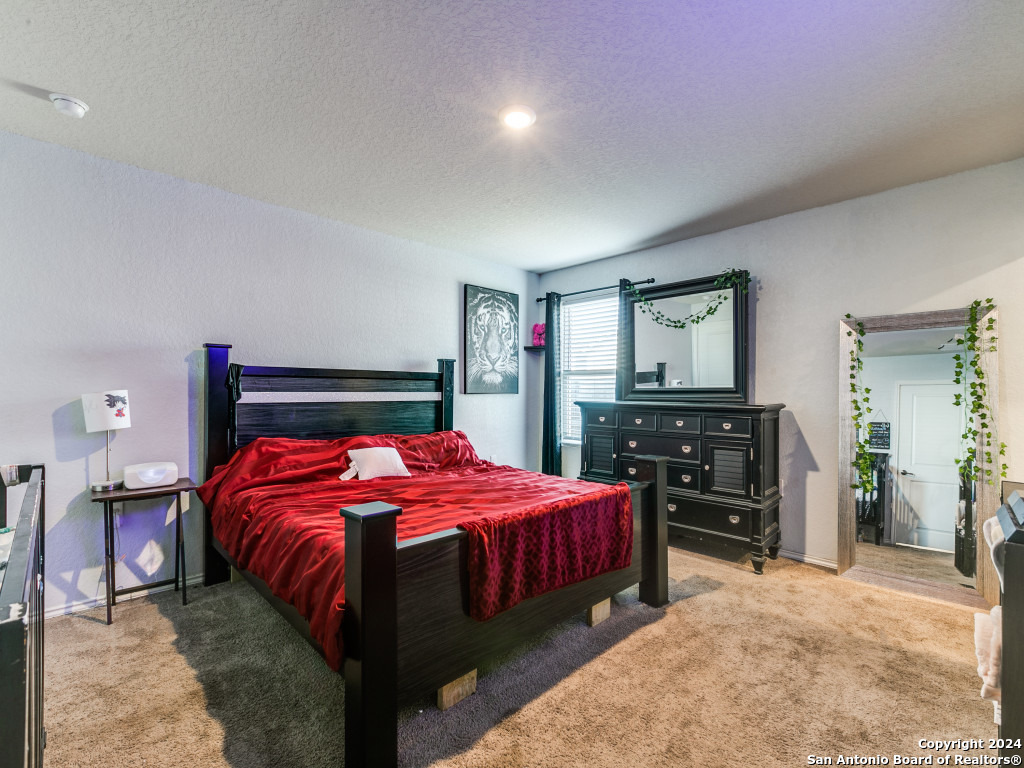 12934 S Chipper Xing