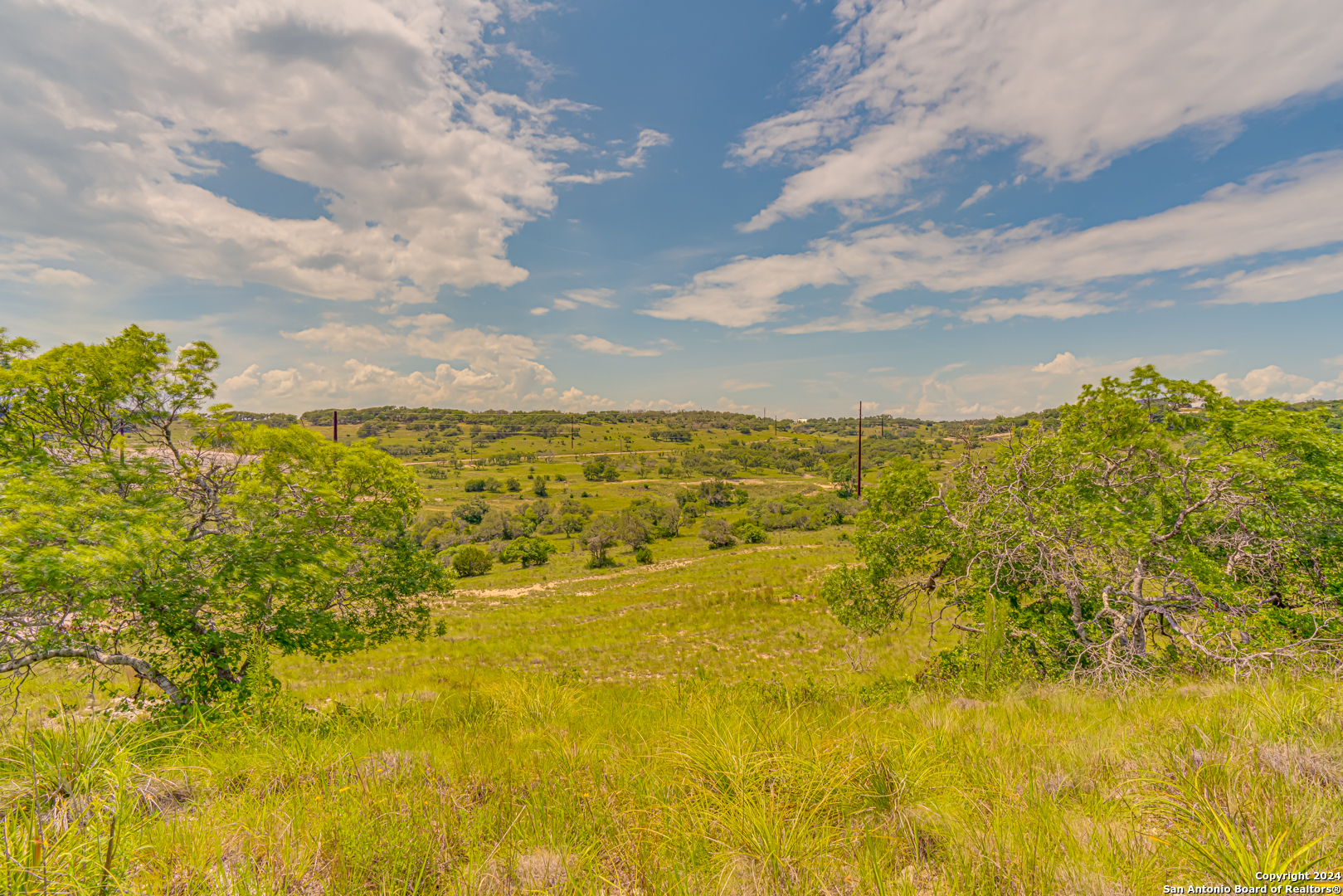56 W Twisted Oak Drive