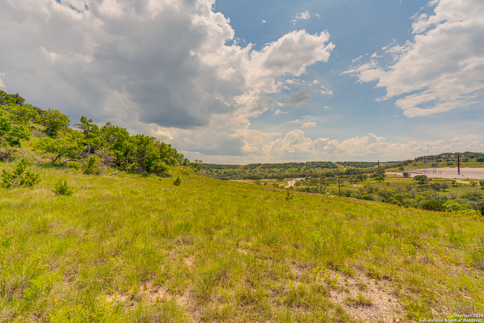 56 W Twisted Oak Drive