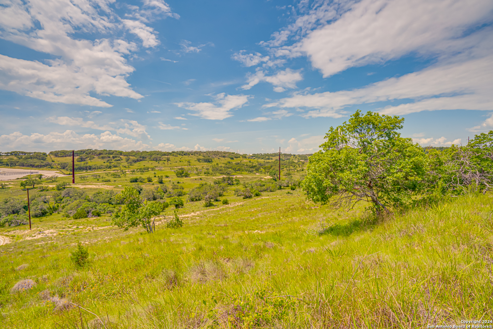 56 W Twisted Oak Drive