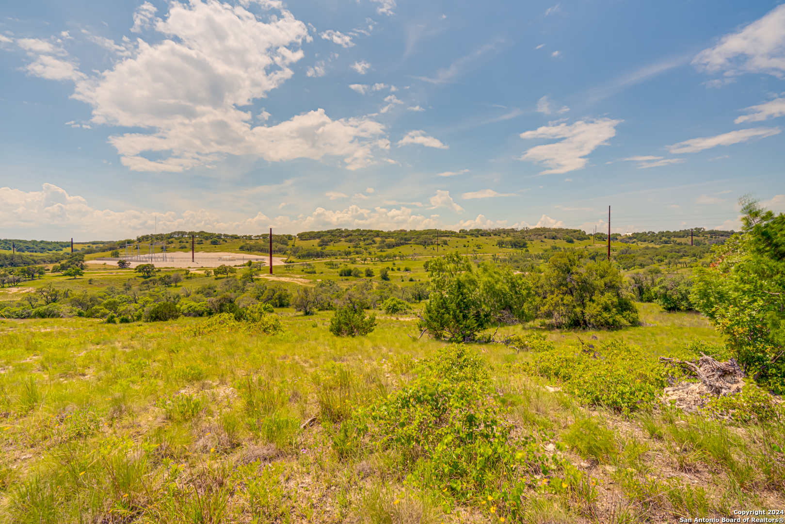 56 W Twisted Oak Drive