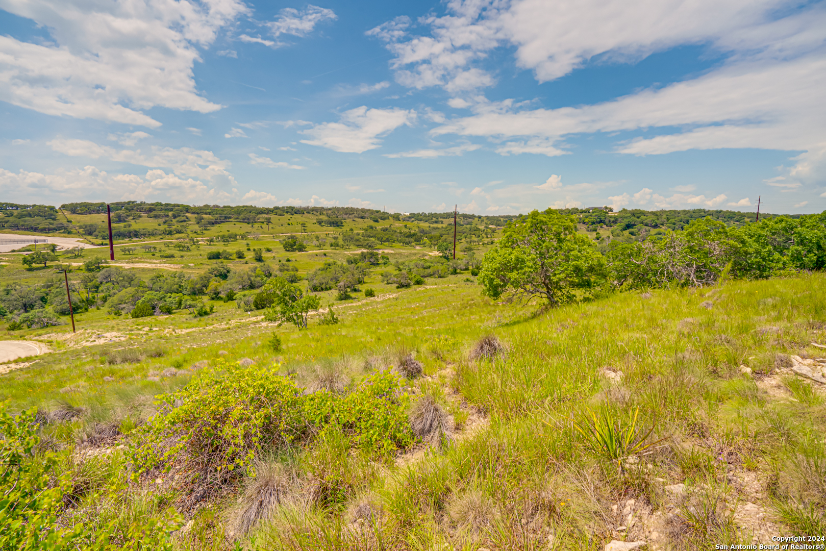 56 W Twisted Oak Drive