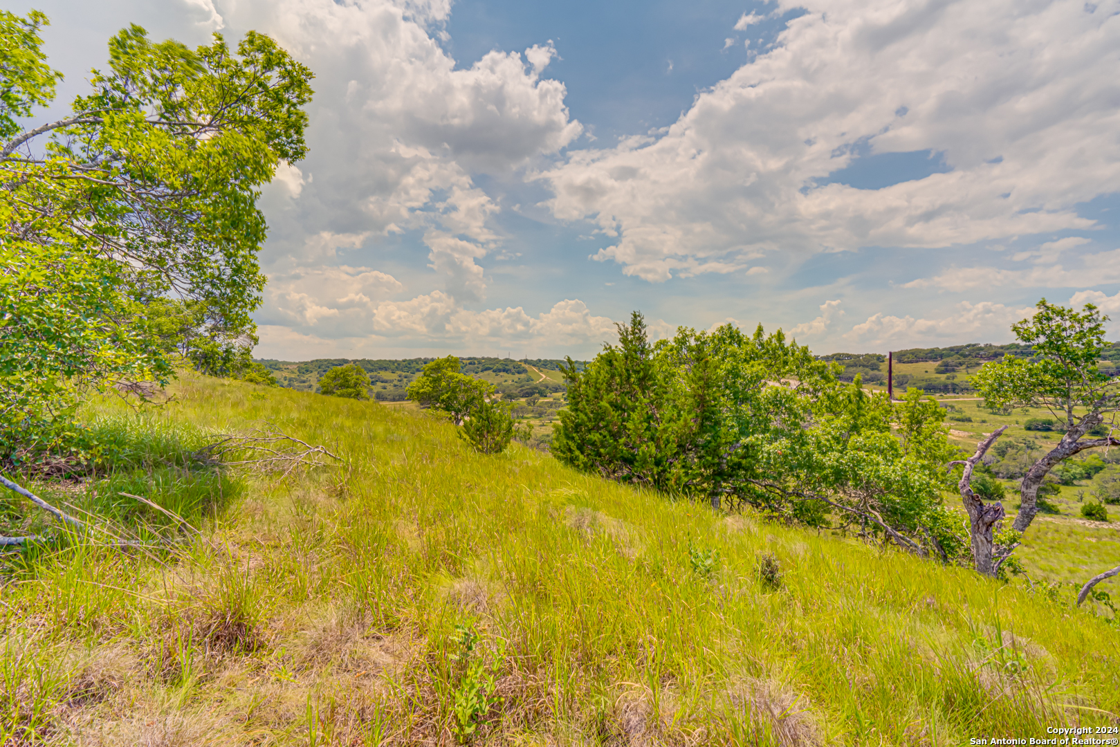56 W Twisted Oak Drive