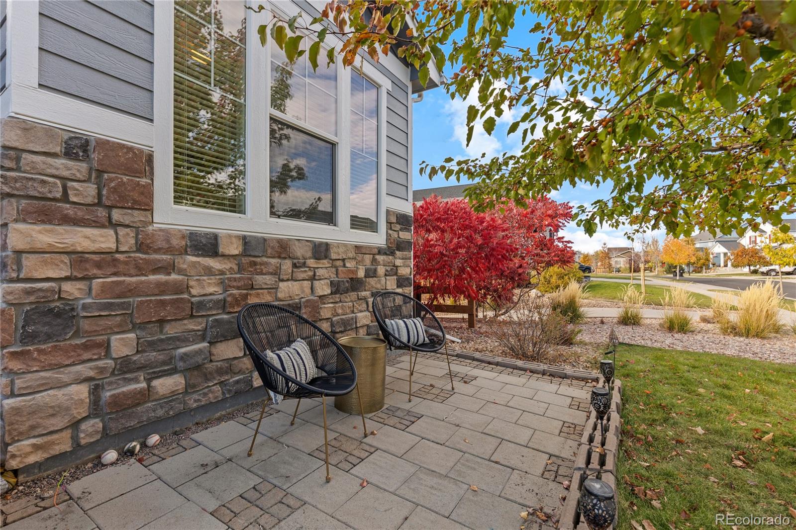 11379 Lovage Way