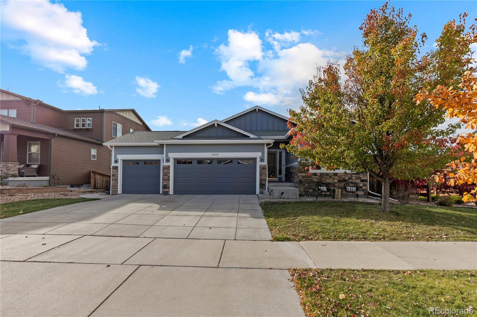 11379 Lovage Way