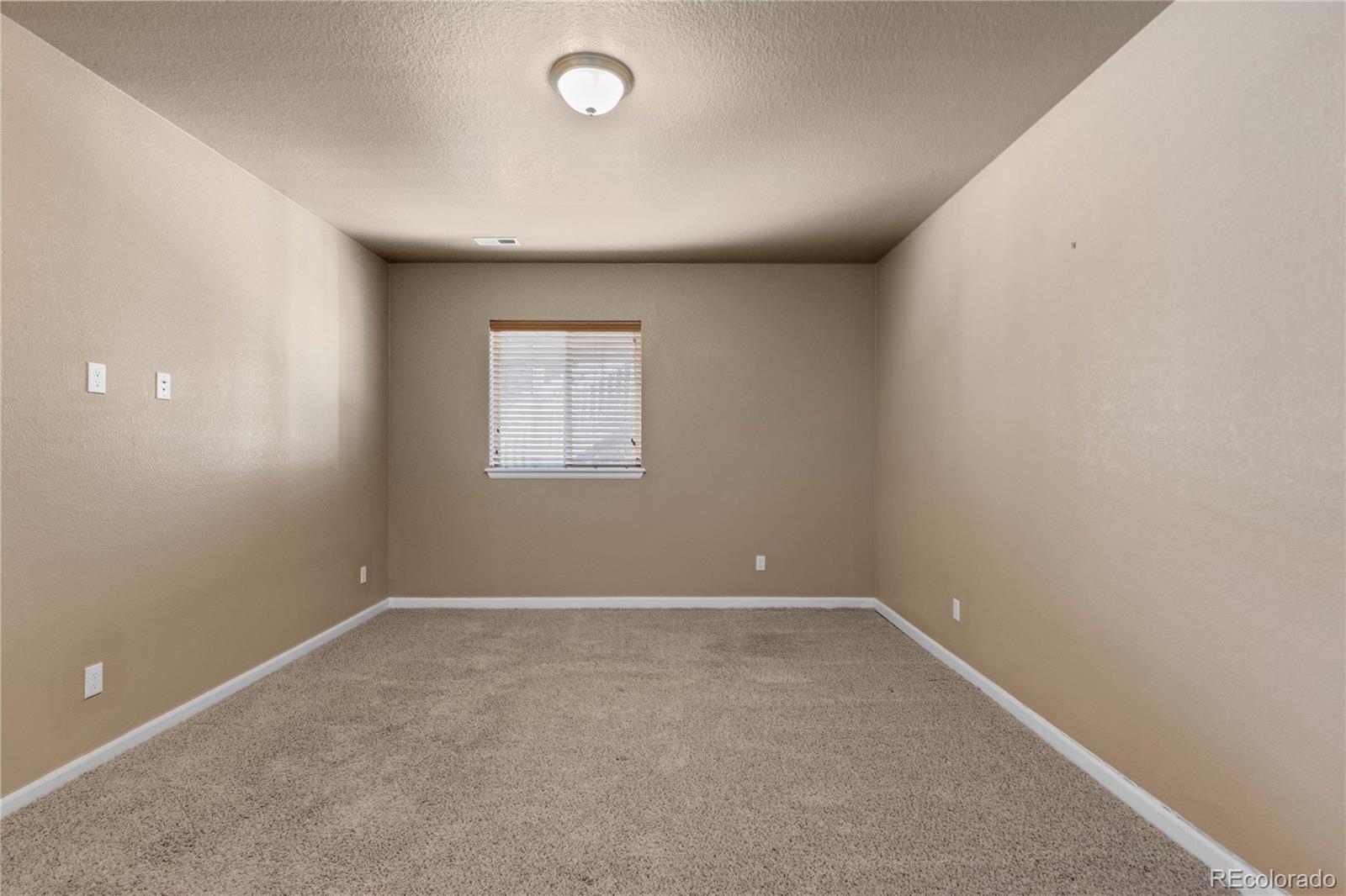 11379 Lovage Way